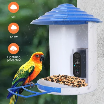 1080P Солнечные Wifi Камеры для наблюдения за птицами Наружная водонепроницаемая Беспроводная Кормушка для птиц 2-Мегапиксельные Камеры наблюдения с обнаружением искусственного интеллекта 2-полосный звук