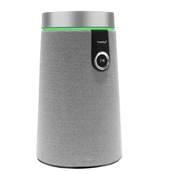 Многоместный беспроводной WiFi Alexa Smart Speaker с поддержкой Echo Dot Mount Musicity 2019