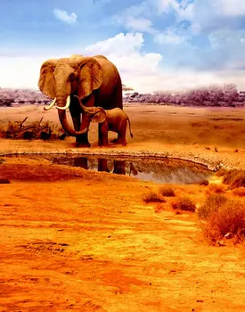 Фоновые изображения животных и Слонов, реквизит для фотосъемки, студийный фон 5x7ft